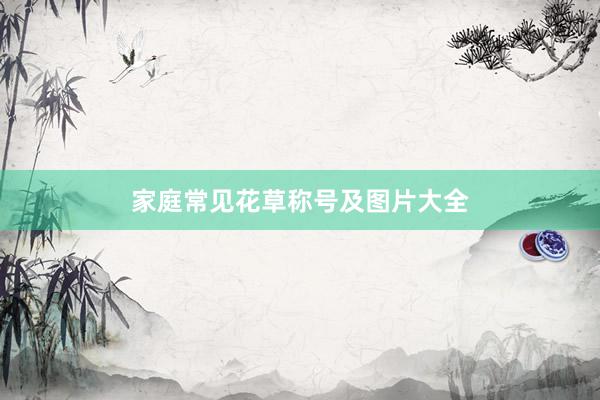 家庭常见花草称号及图片大全