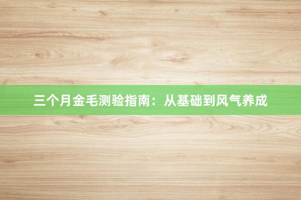 三个月金毛测验指南:从基础到风气养成