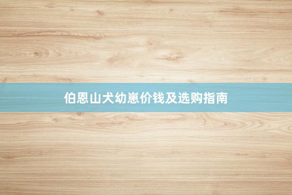 伯恩山犬幼崽价钱及选购指南
